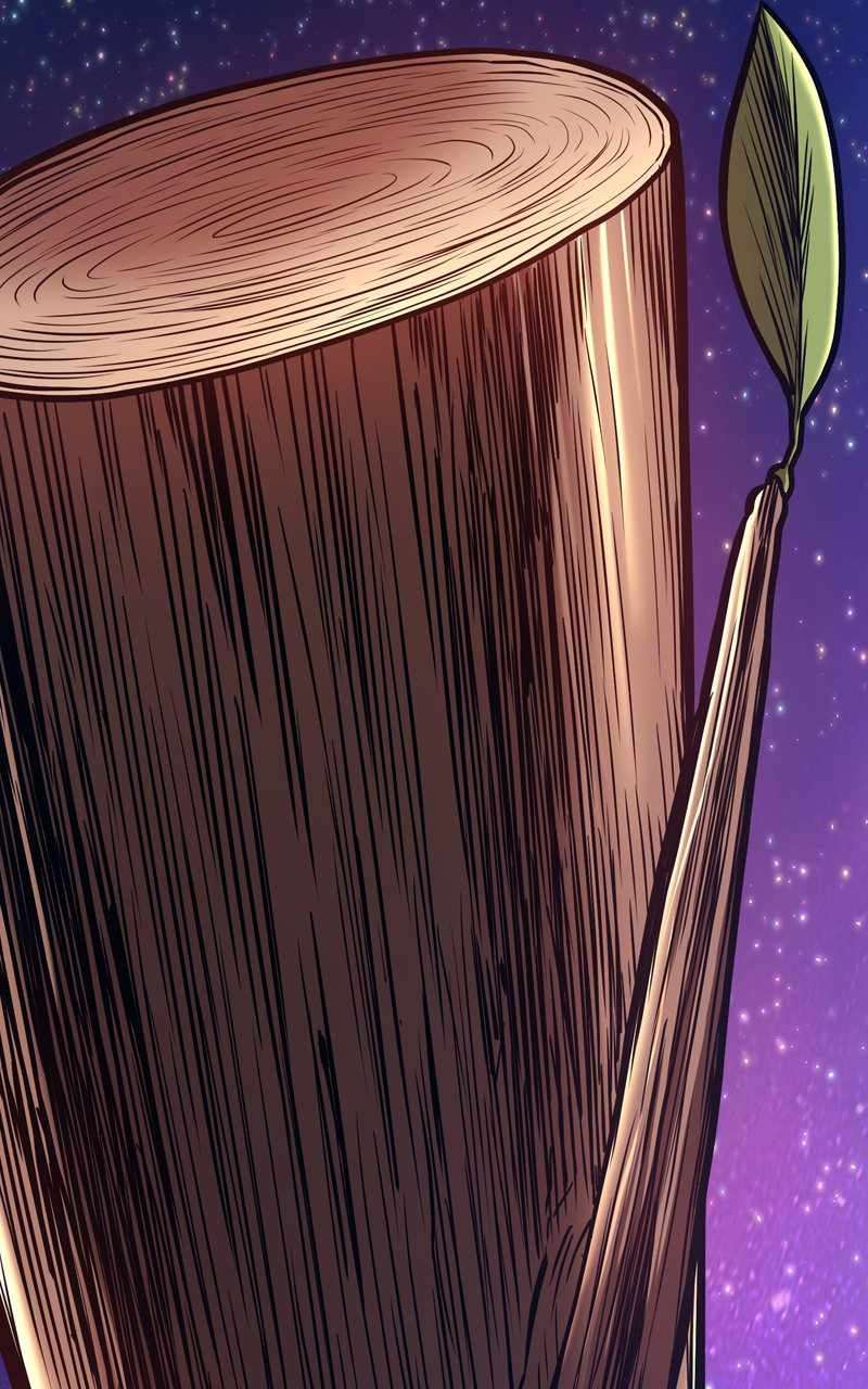 Page 155 of Chapter 82.1