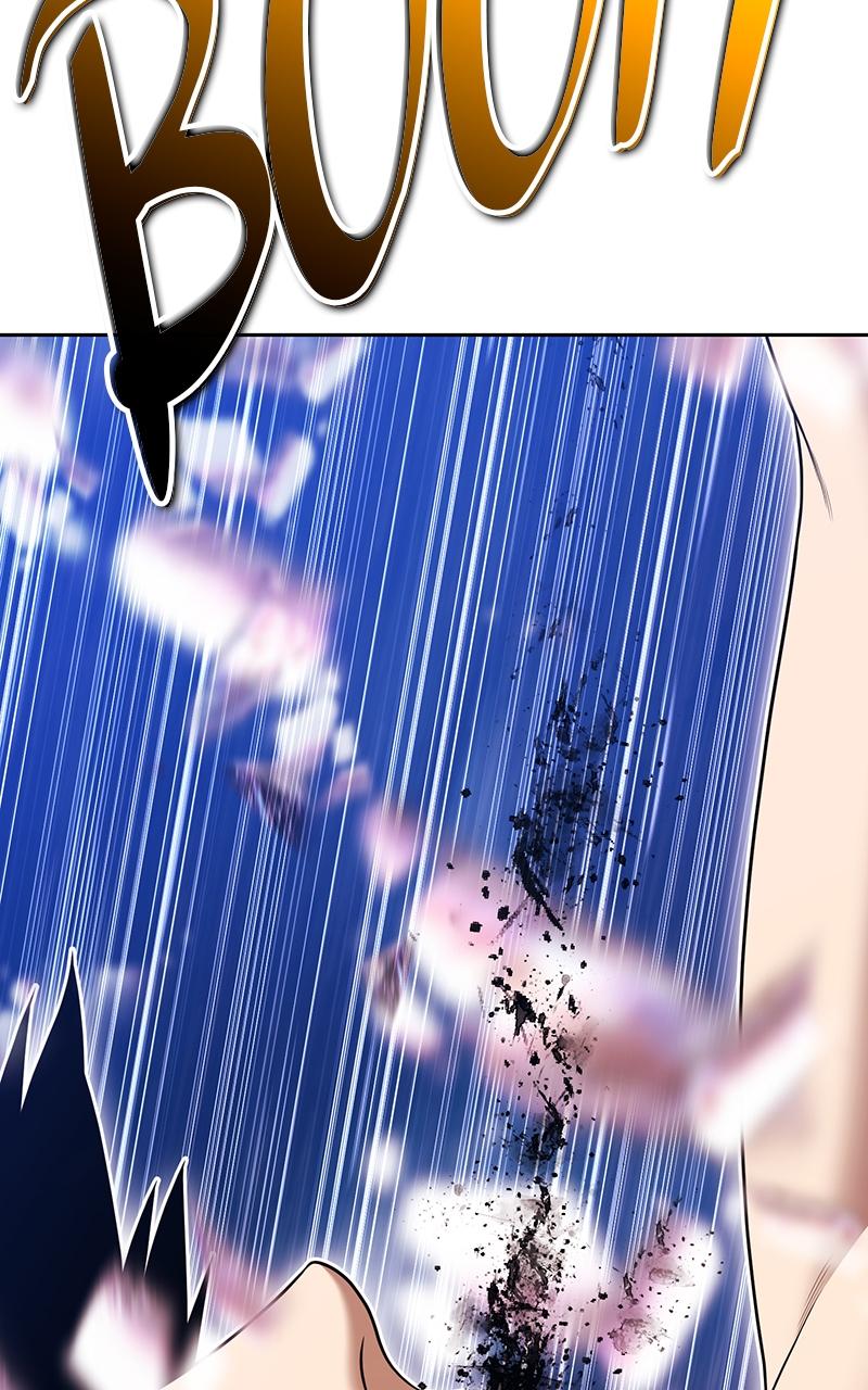 Page 106 of Chapter 96