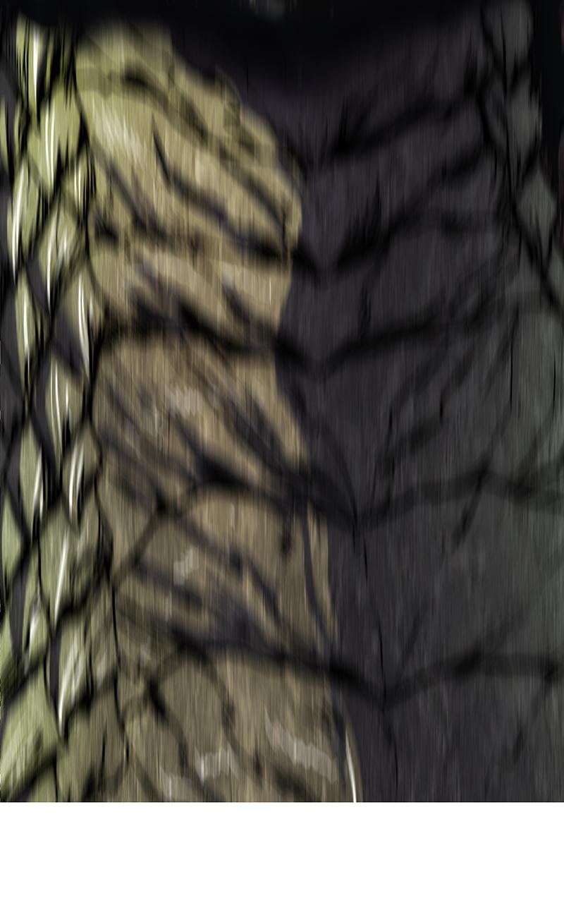 Page 41 of Chapter 96