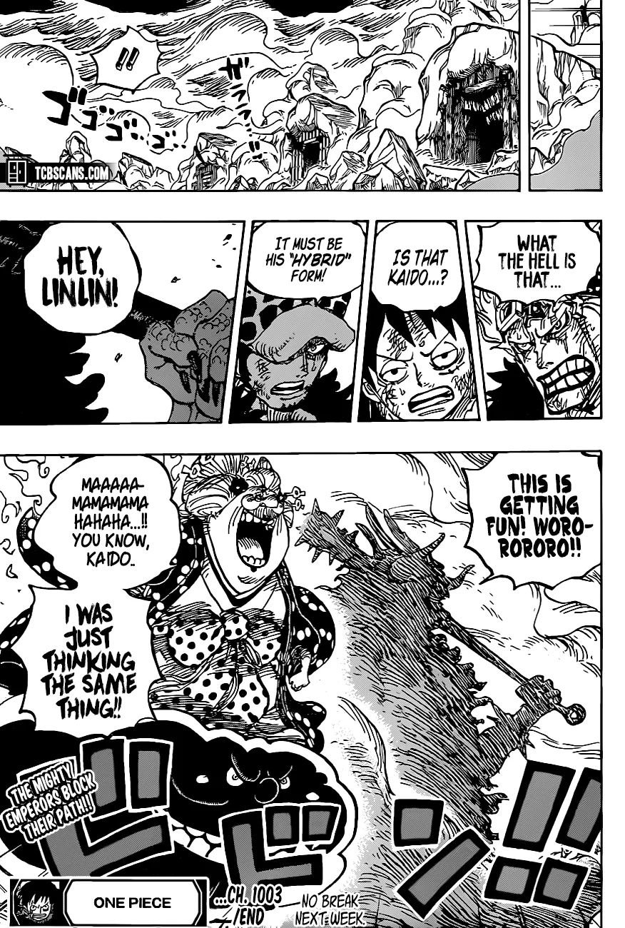 Page 14 of Chapter 1003