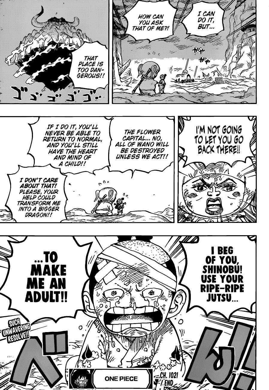 Page 17 of Chapter 1021