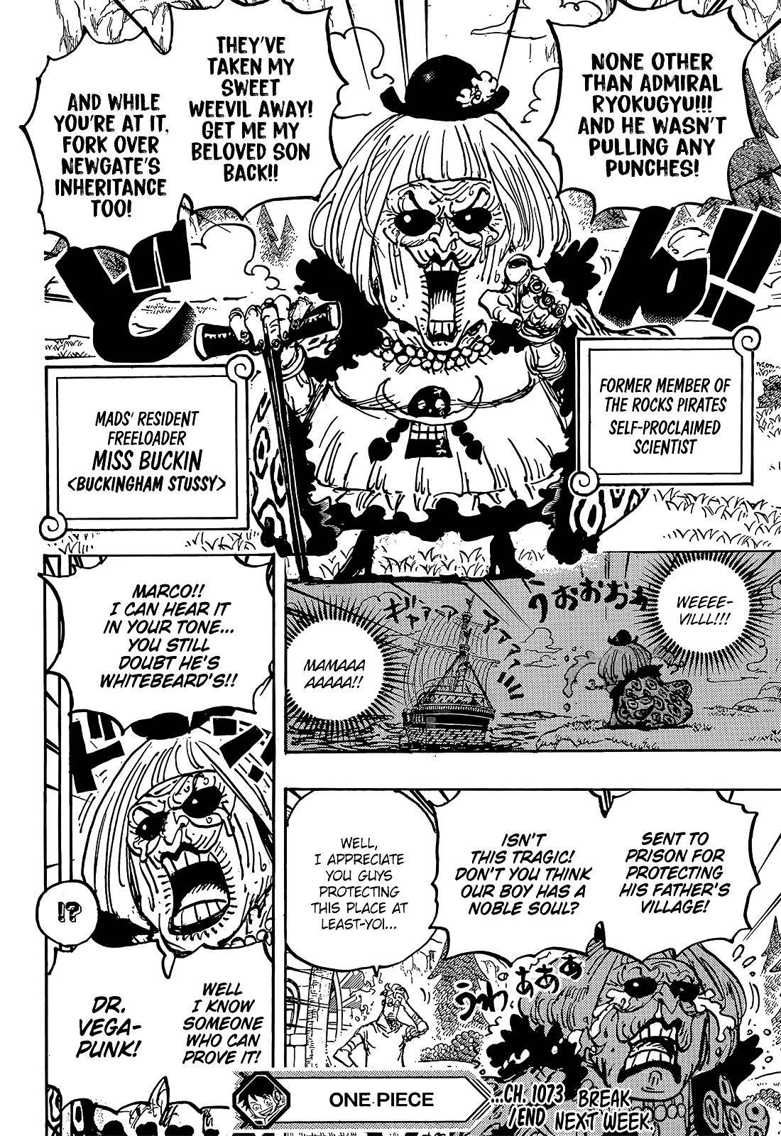 Page 15 of Chapter 1073
