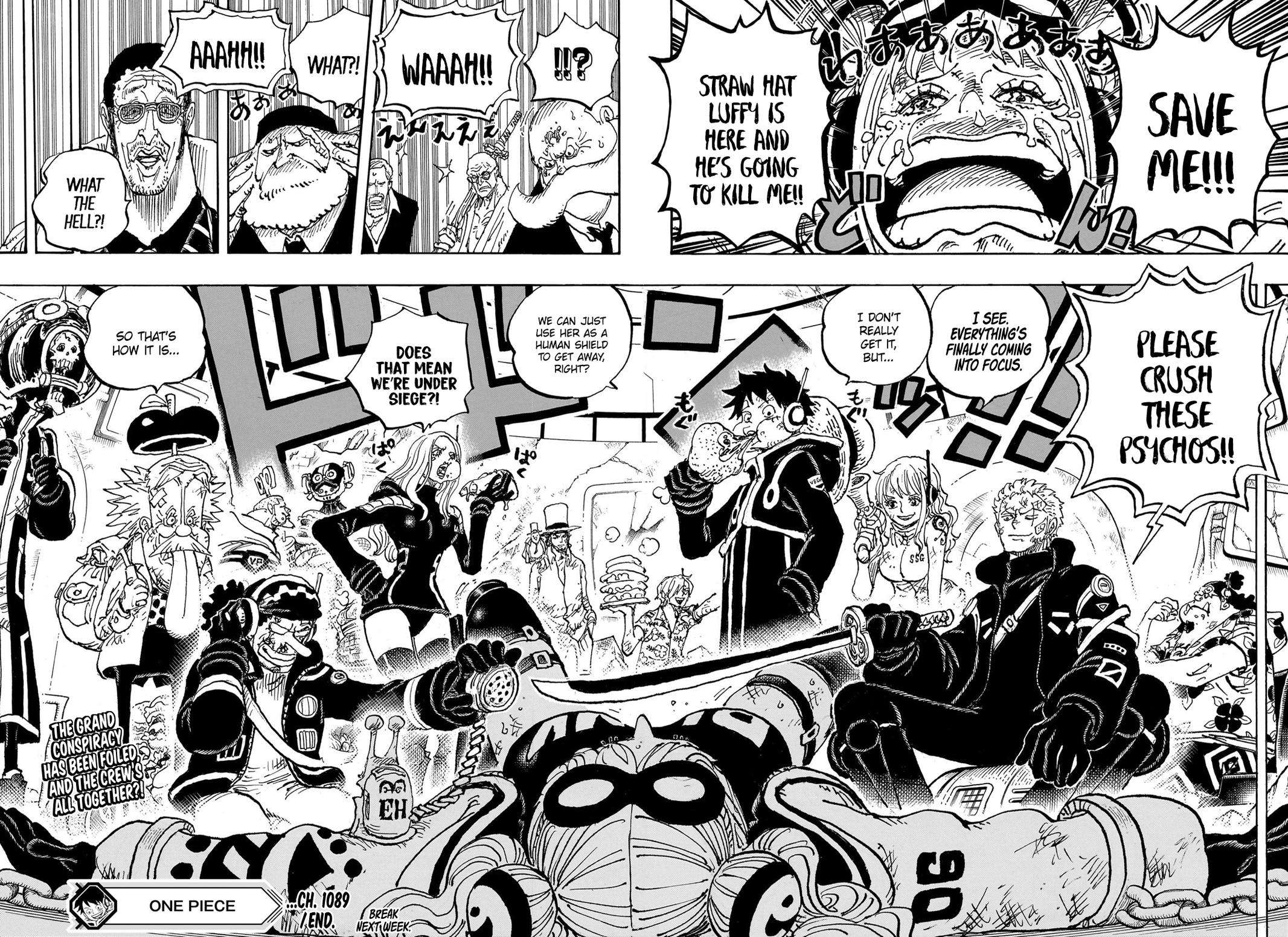 Page 17 of Chapter 1089