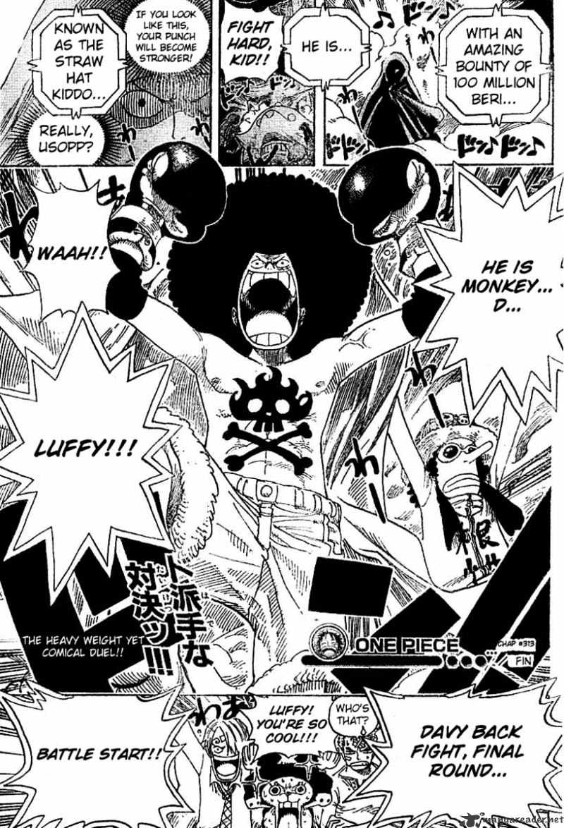 Page 19 of Chapter 313