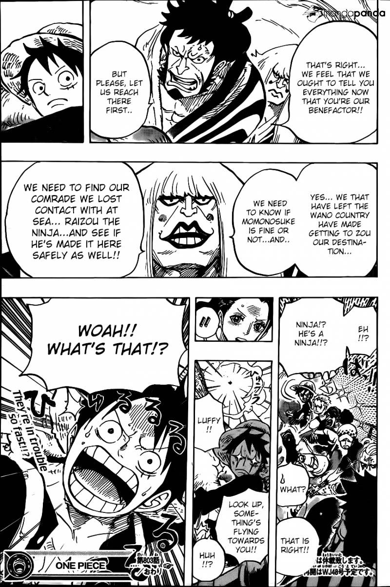 Page 13 of Chapter 803