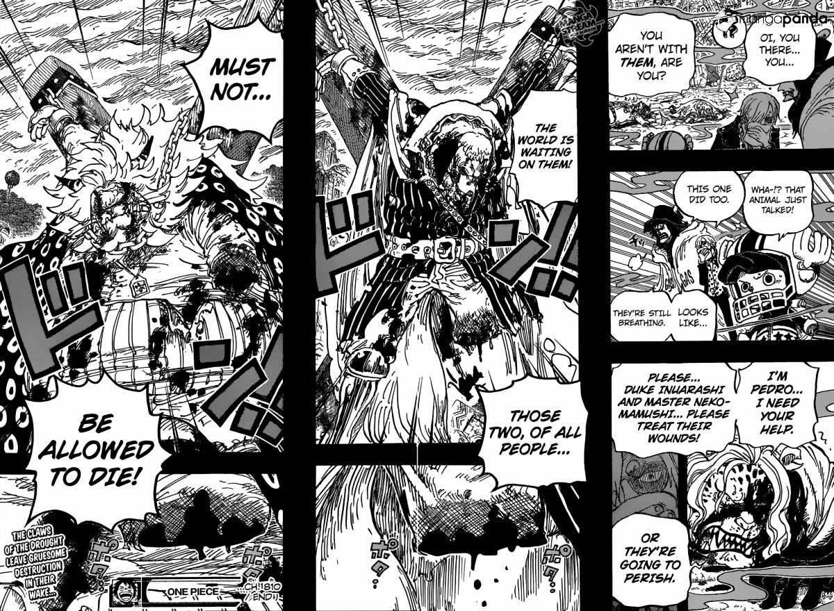 Page 19 of Chapter 810