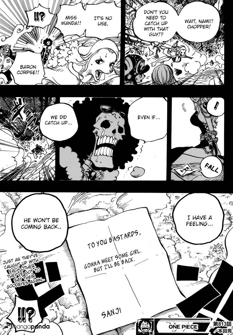 Page 17 of Chapter 813