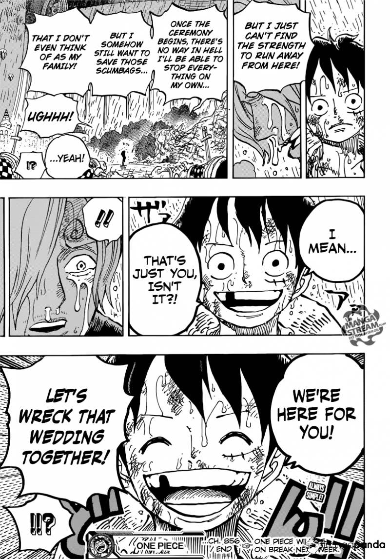 Page 17 of Chapter 856