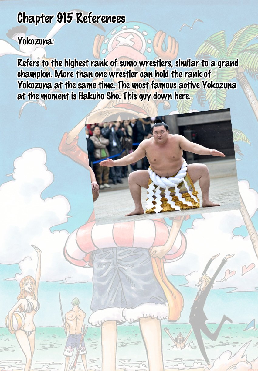 Page 17 of Chapter 915