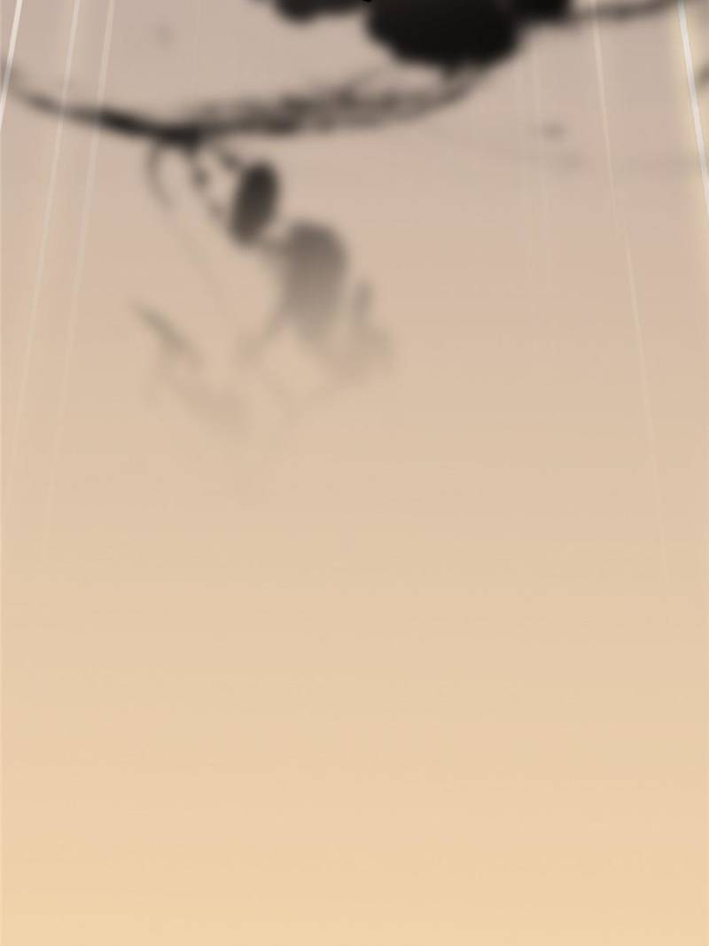 Page 82 of Chapter 112