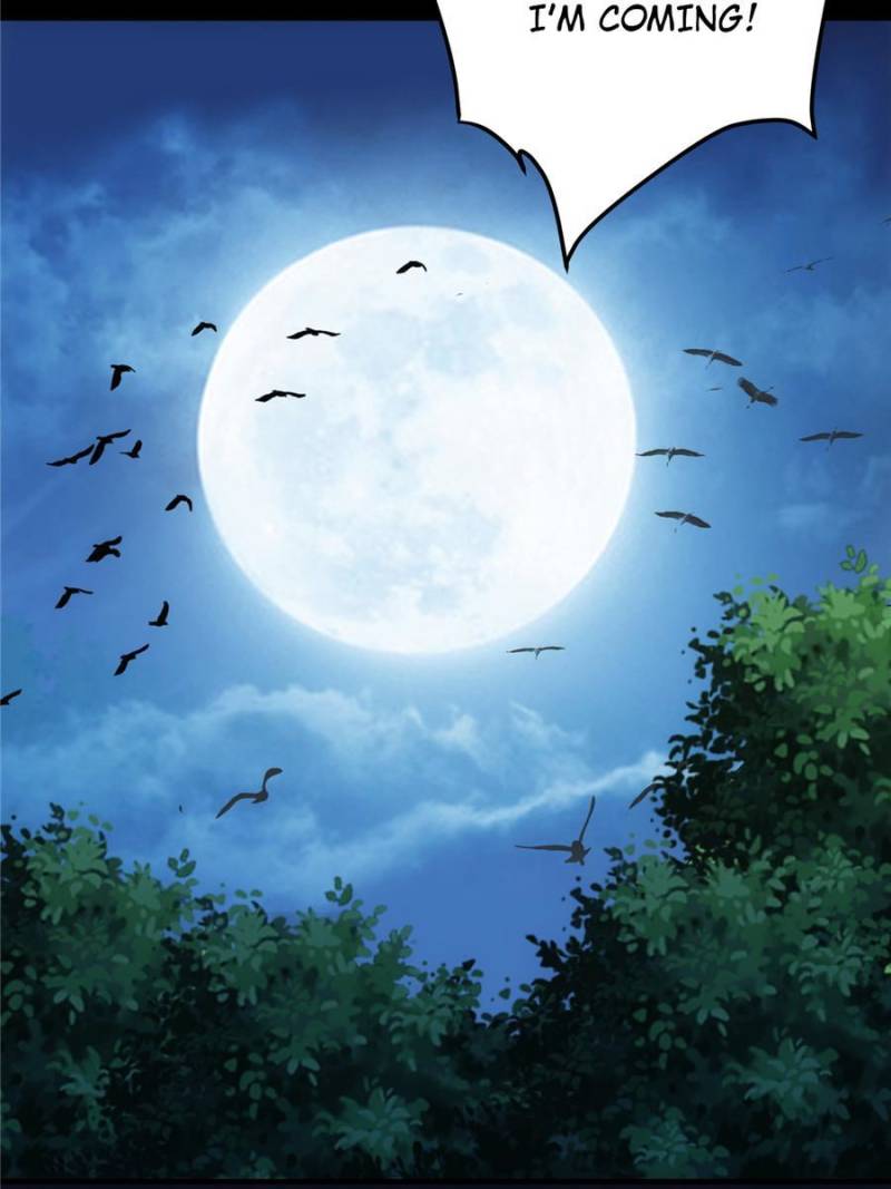 Page 47 of Chapter 113