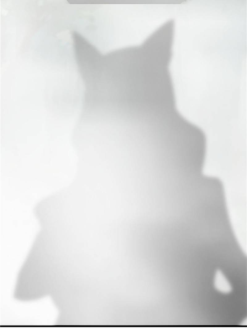 Page 54 of Chapter 117