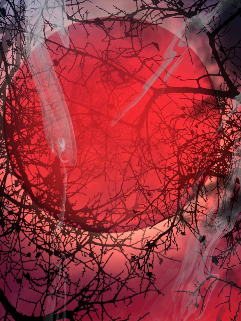 Page 35 of Chapter 196
