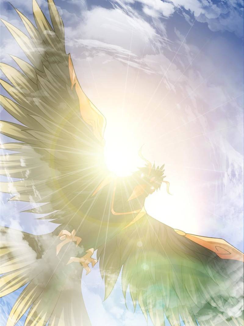 Page 55 of Chapter 80