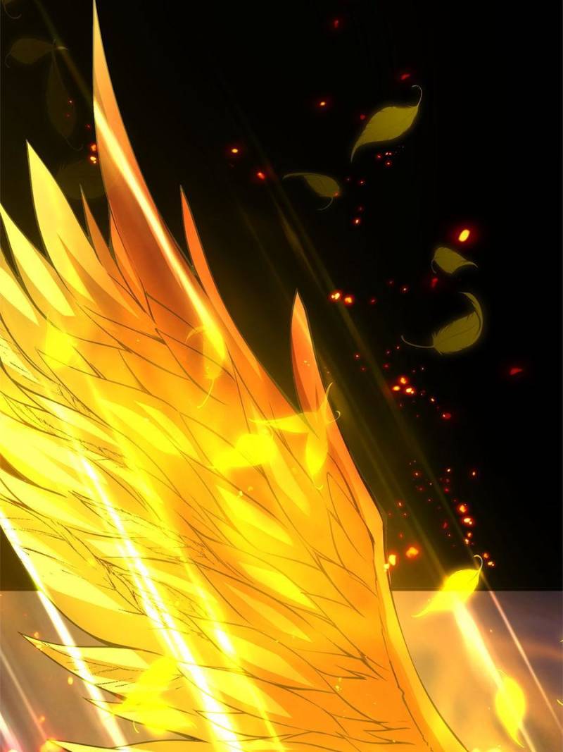 Page 22 of Chapter 84