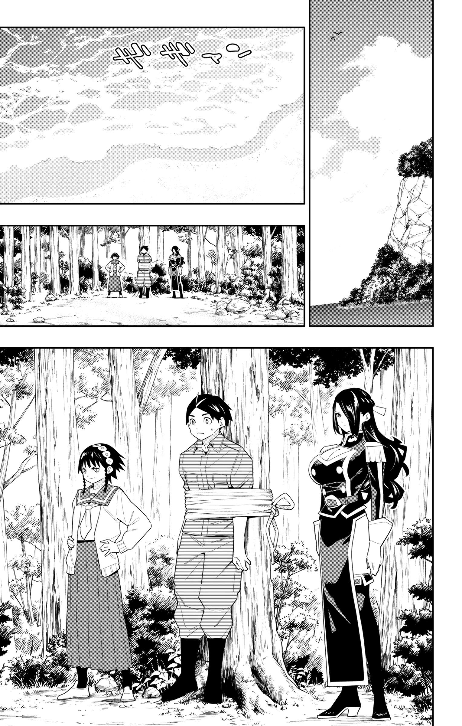 Page 11 of Chapter 132