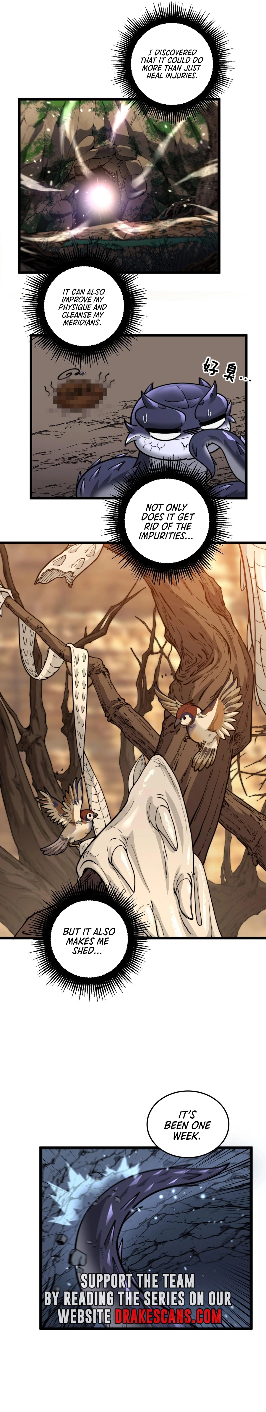 Page 13 of Chapter 2
