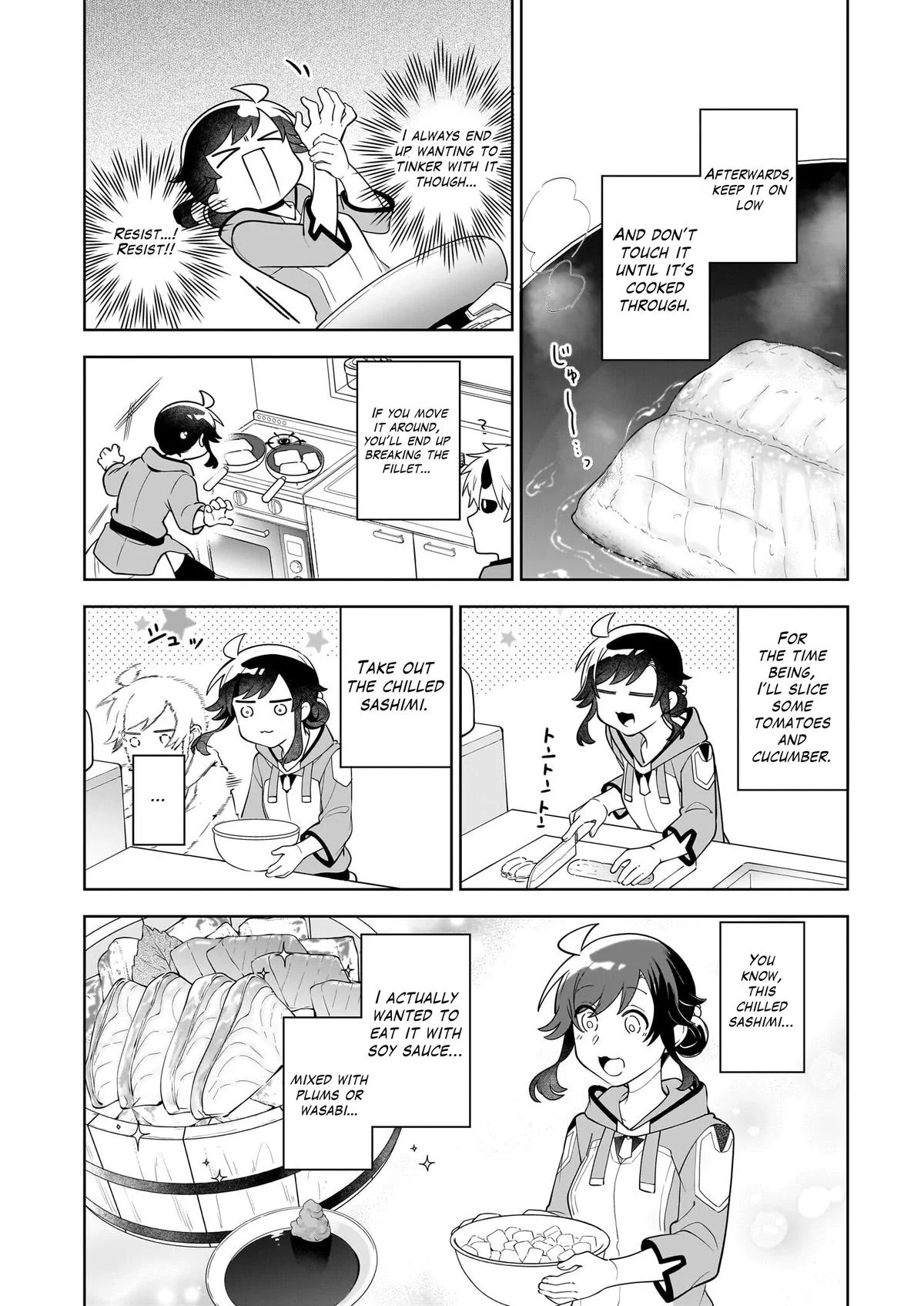 Page 13 of Chapter 17.1