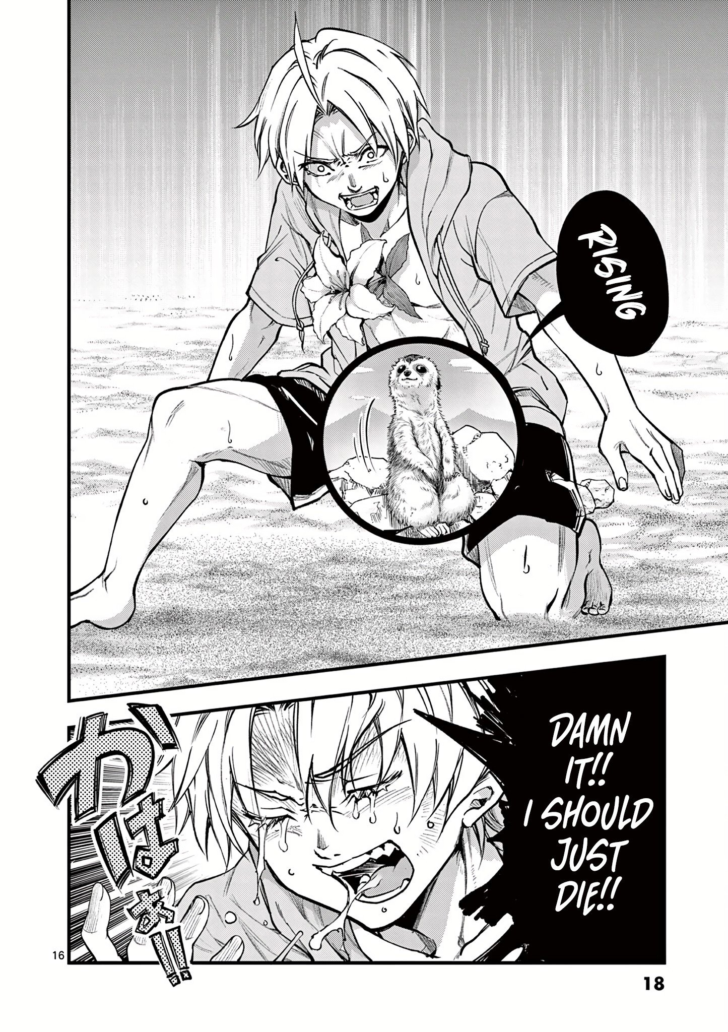 Page 18 of Chapter 15