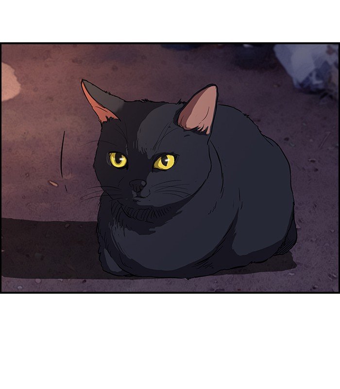Page 47 of Chapter 108