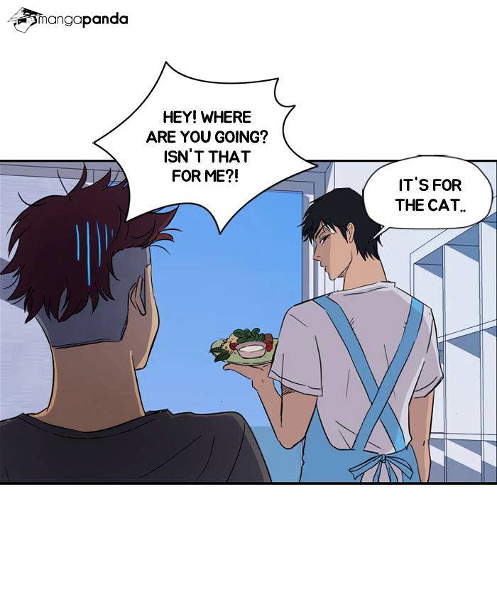 Page 43 of Chapter 19