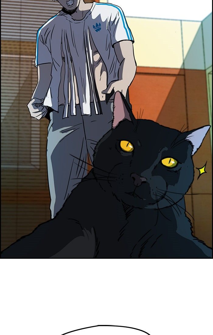 Page 39 of Chapter 196