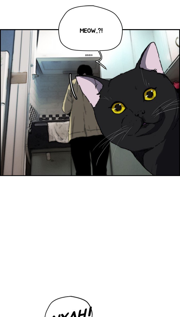 Page 27 of Chapter 219