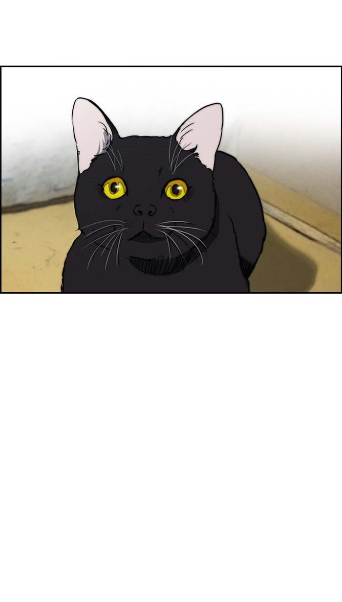 Page 44 of Chapter 219