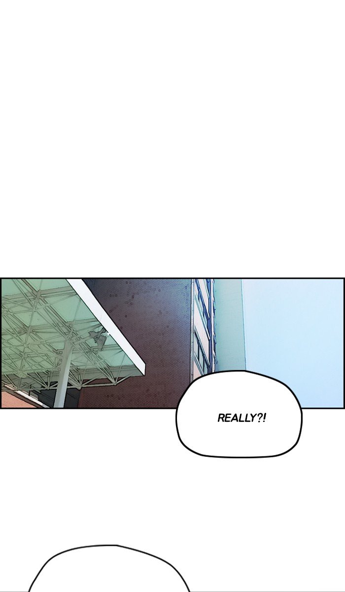Page 43 of Chapter 239