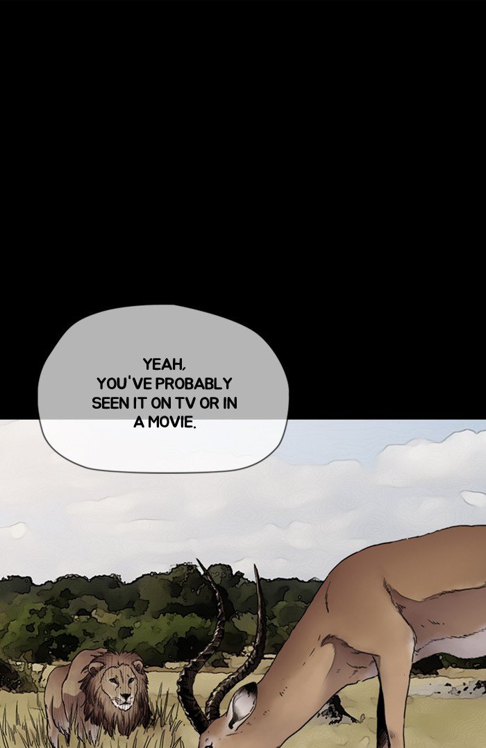 Page 80 of Chapter 294