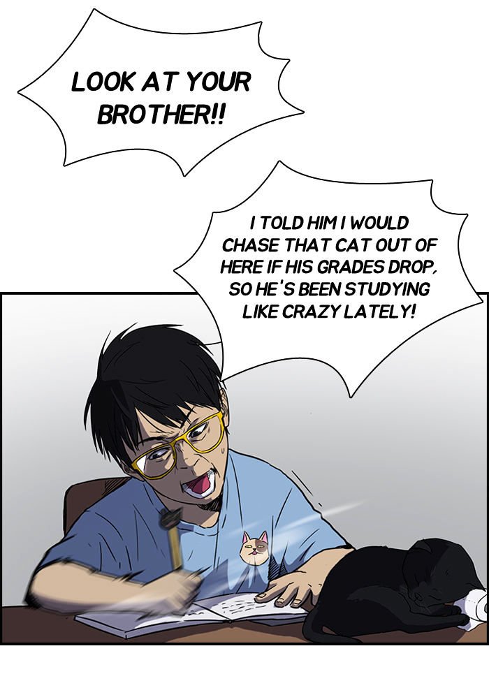 Page 41 of Chapter 66