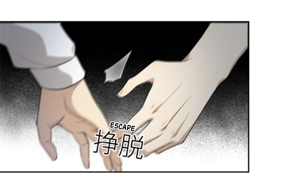 Page 13 of Chapter 17