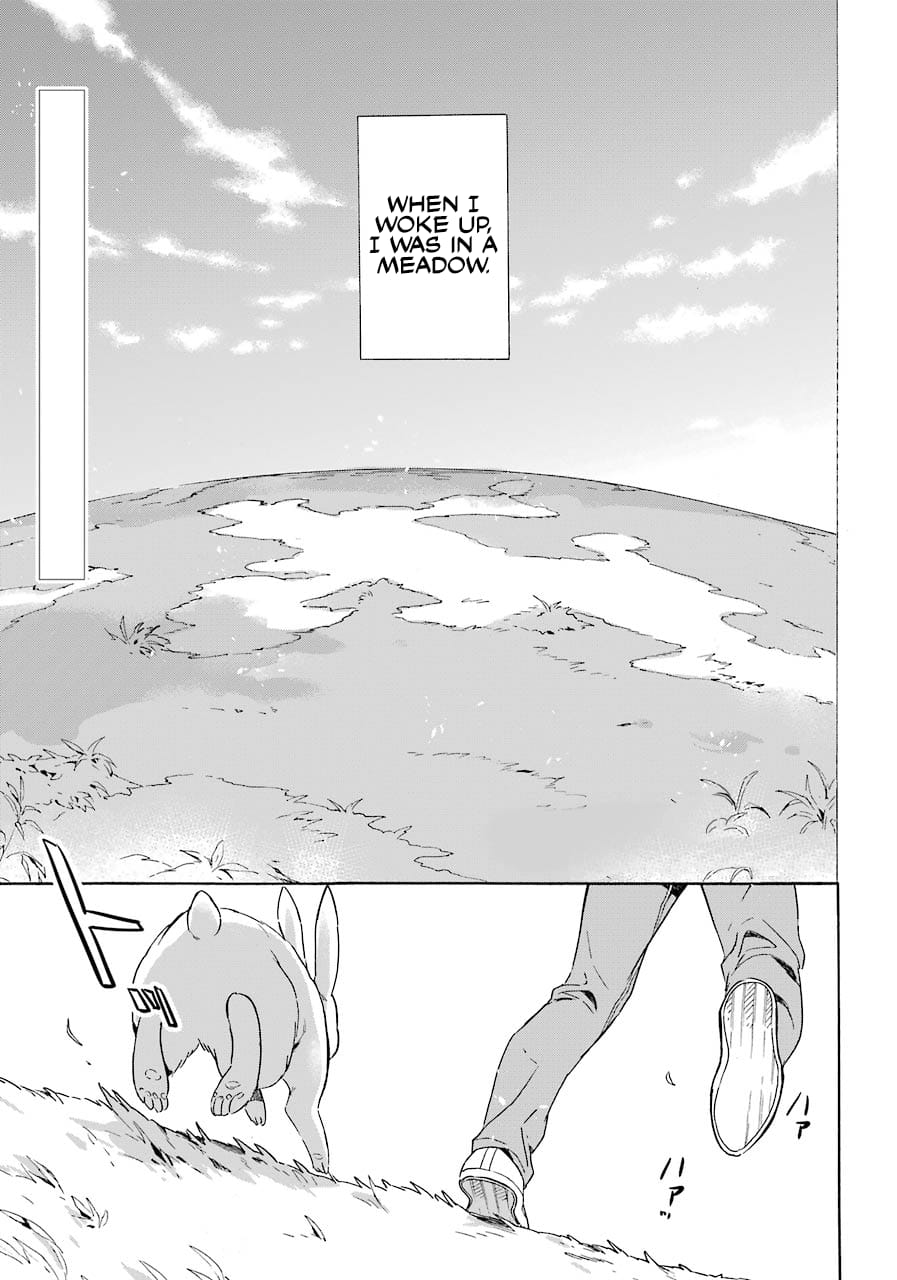 Page 4 of Chapter 1