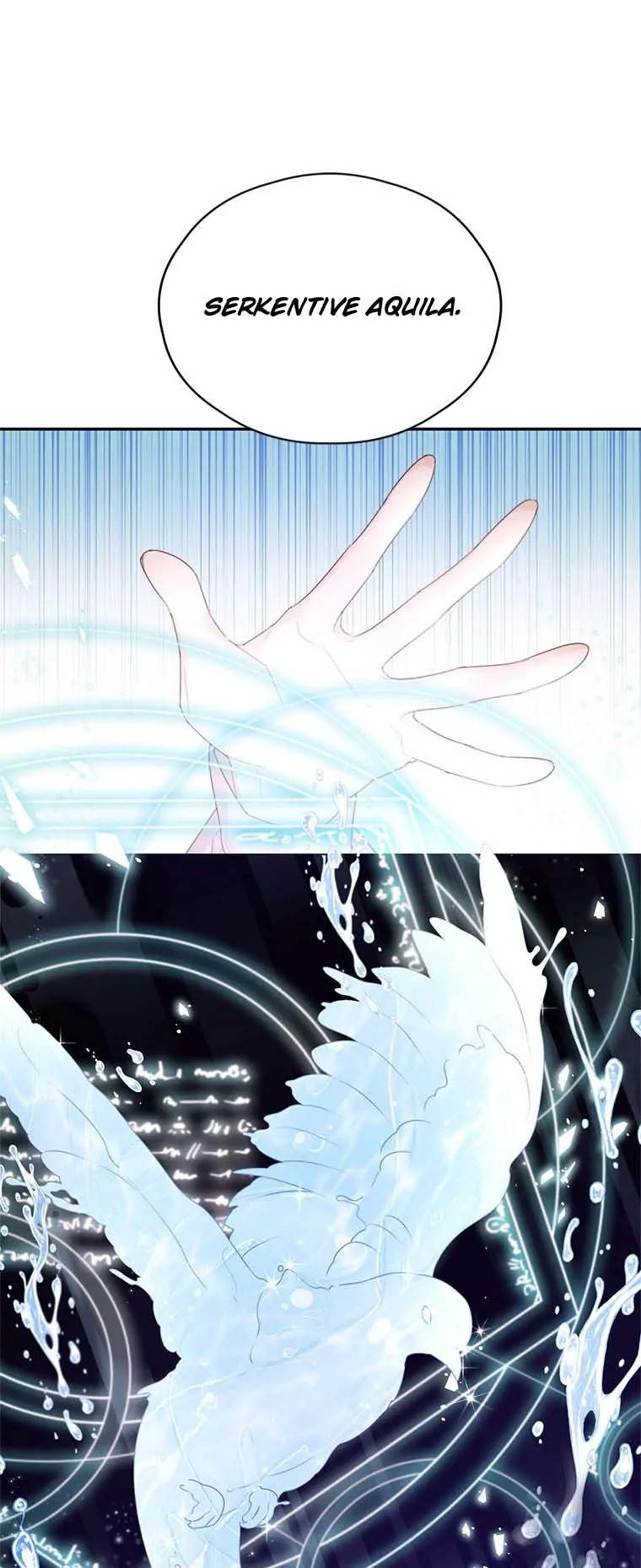 Page 17 of Chapter 44