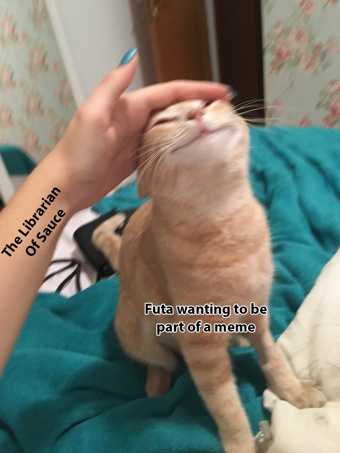 Page 22 of Chapter 28