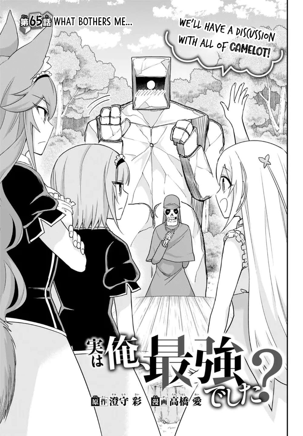 Page 1 of Chapter 65