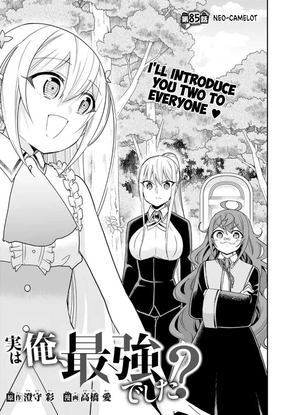 Page 1 of Chapter 85