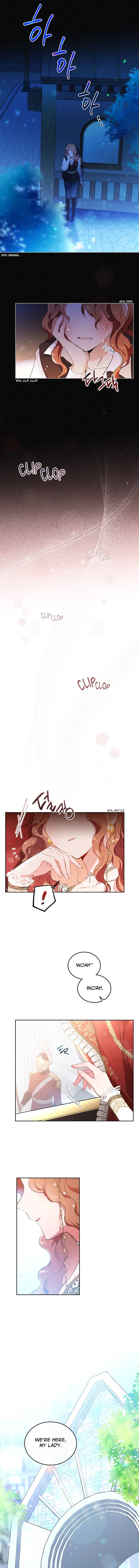 Page 3 of Chapter 0