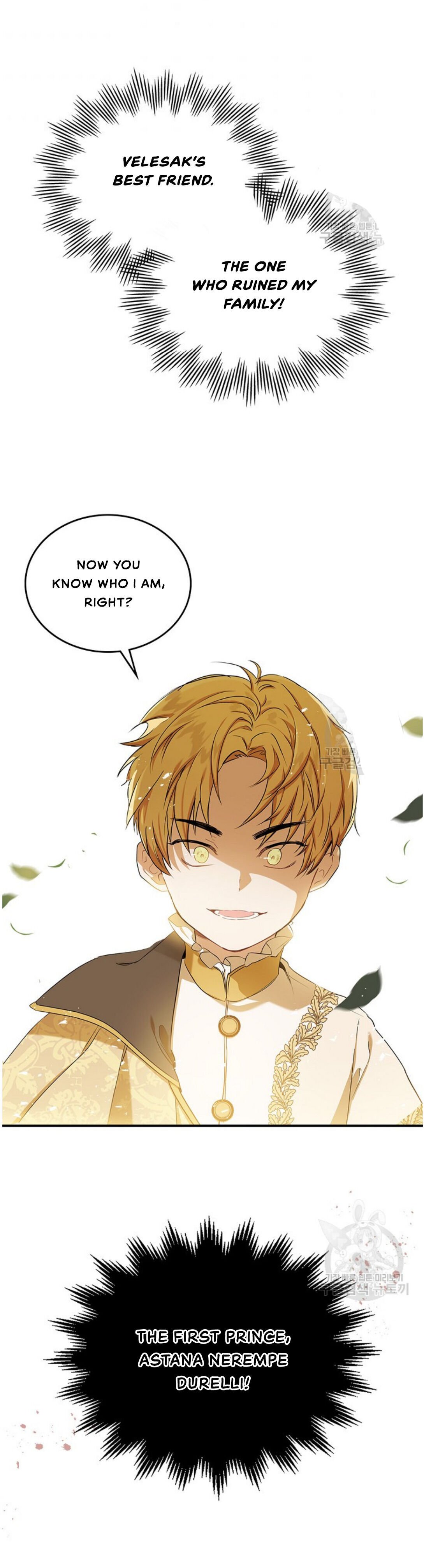Page 17 of Chapter 15