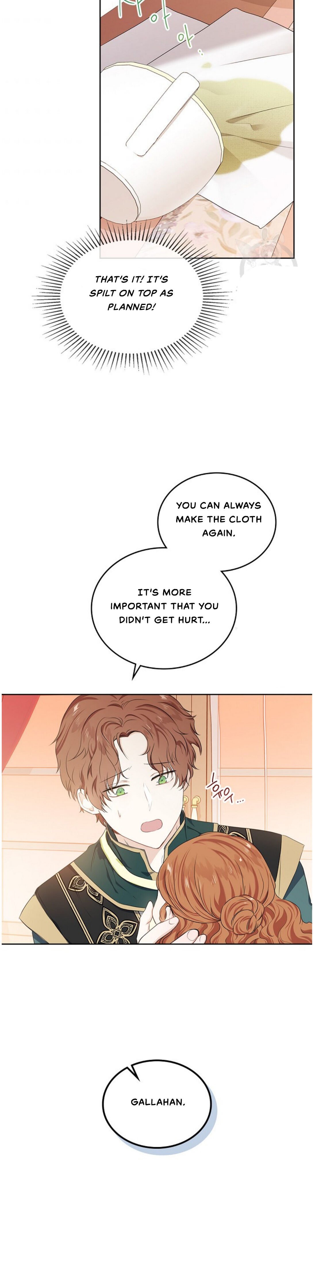 Page 17 of Chapter 19