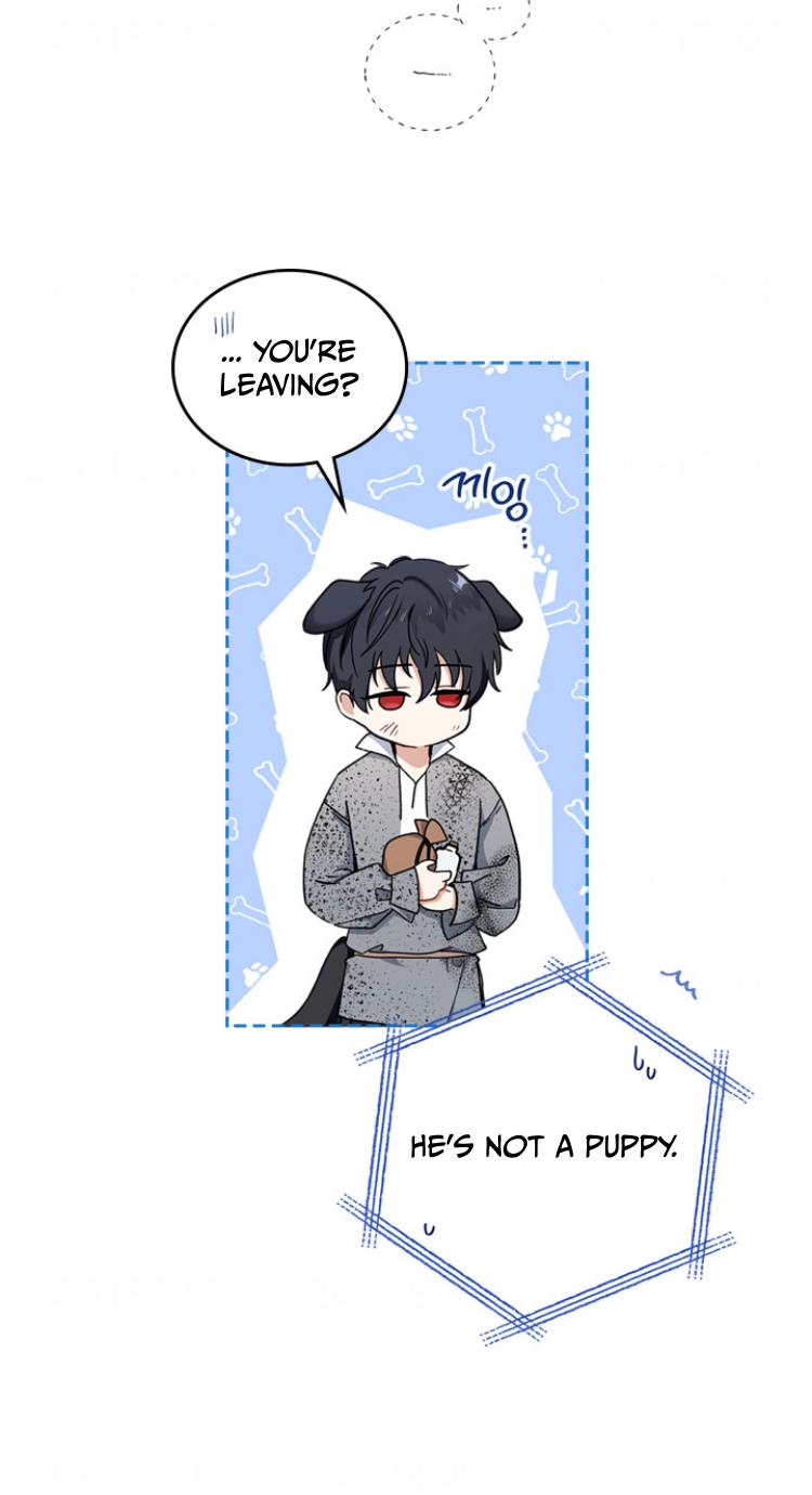 Page 62 of Chapter 26