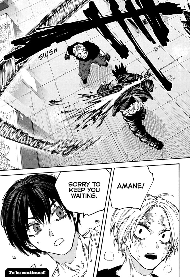 Page 13 of Chapter 155