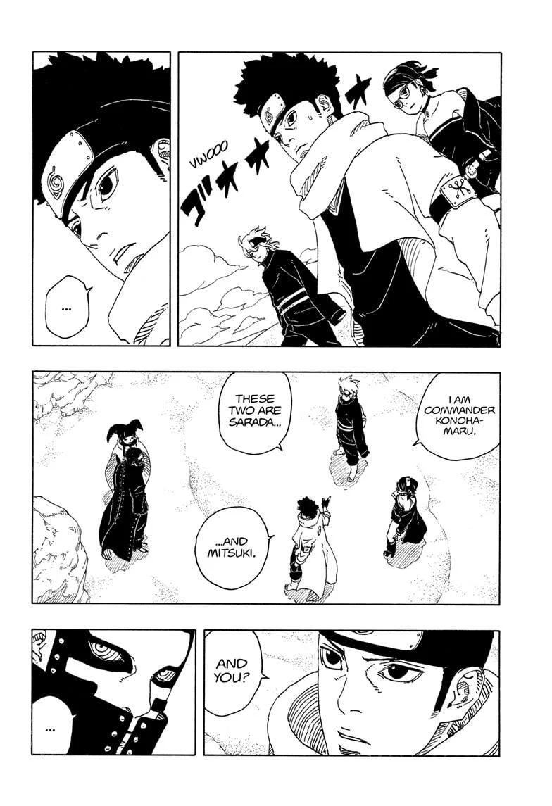 Page 22 of Chapter 17