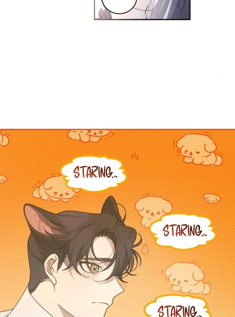 Page 46 of Chapter 95