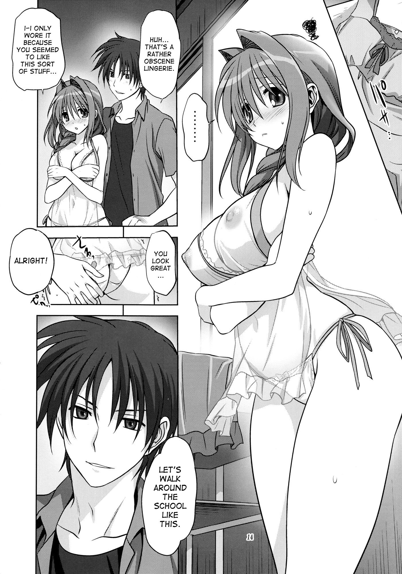Page 14 of Chapter 12