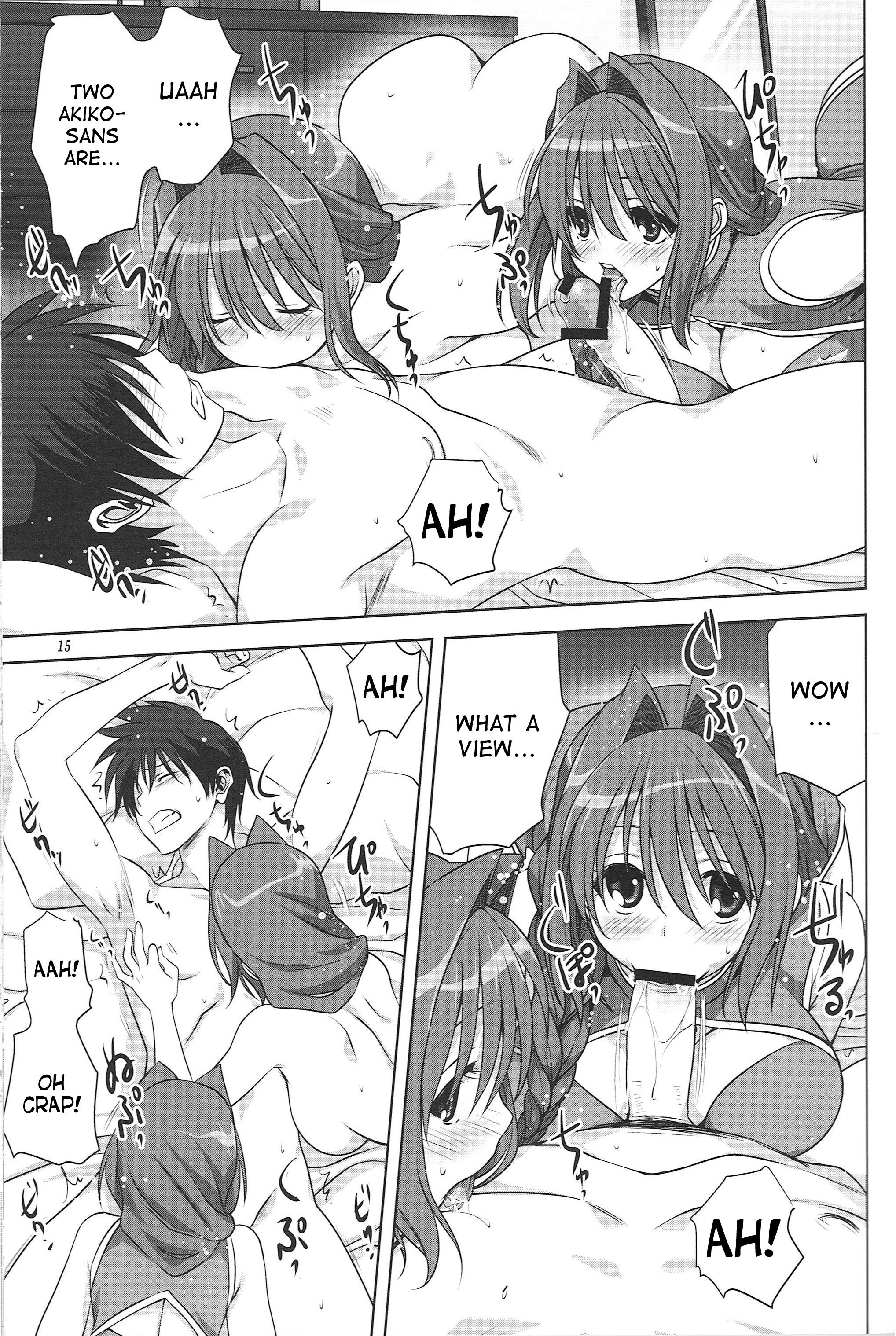 Page 14 of Chapter 15