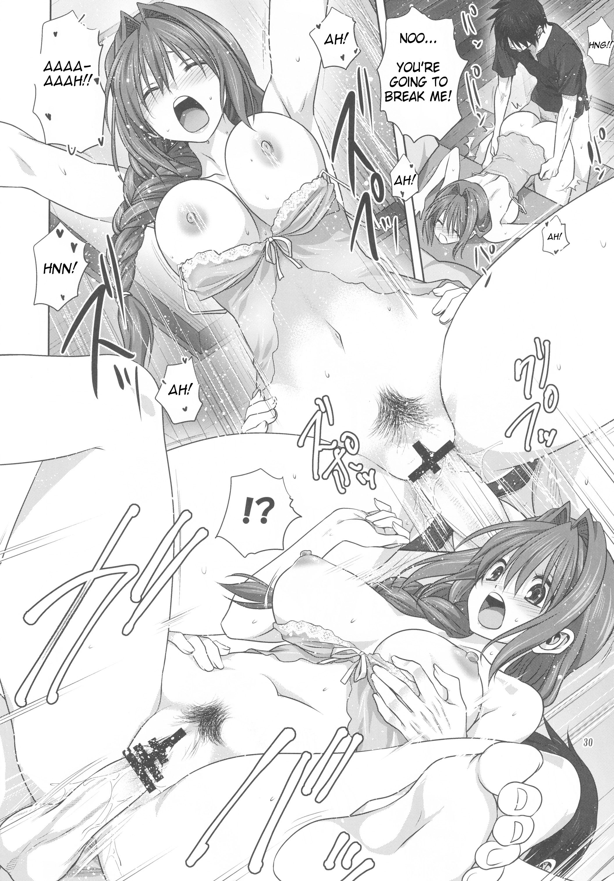 Page 29 of Chapter 19