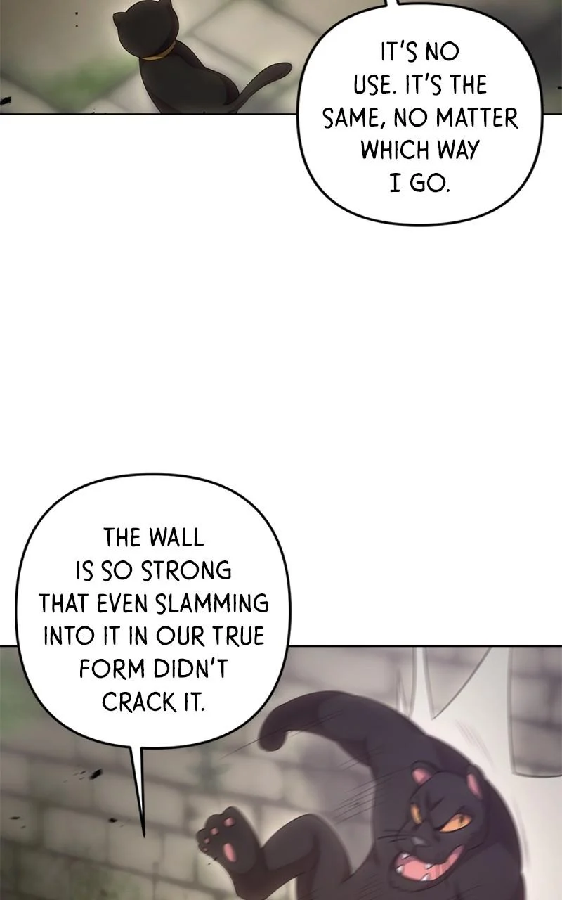 Page 63 of Chapter 116