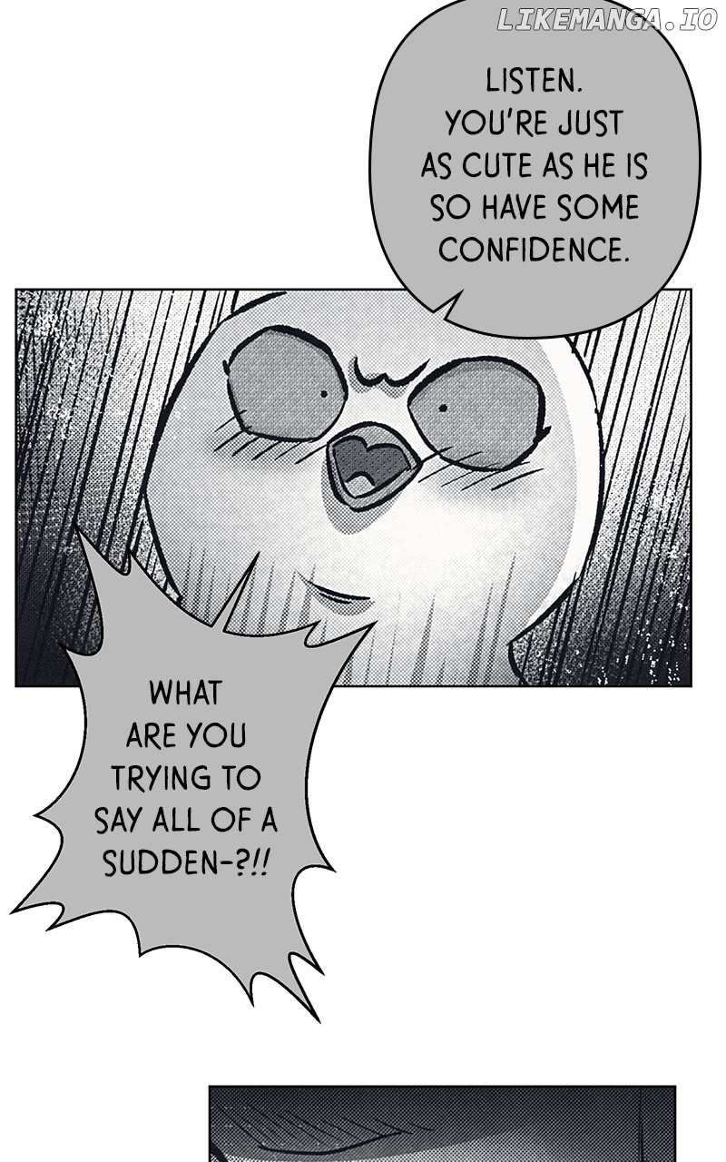 Page 19 of Chapter 62