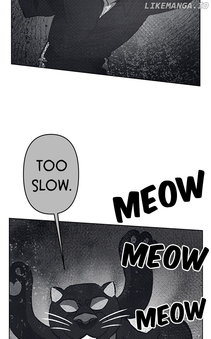Page 5 of Chapter 70